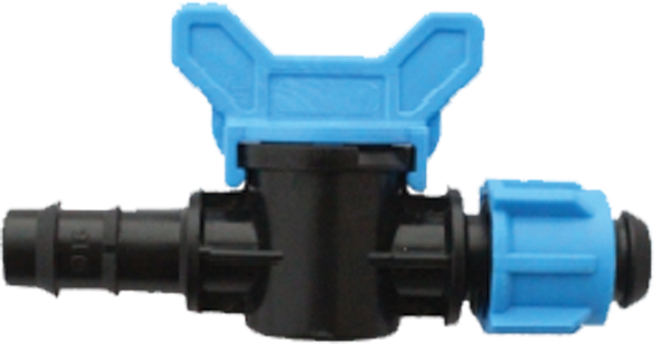 Mini Vana Kurtağzı Somunlu 