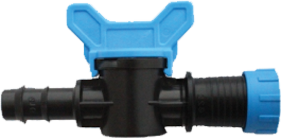 Mini Vana Kurtağzı Yüzüklü 